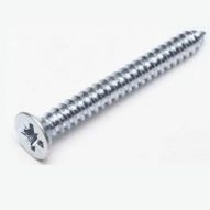 Self Tapping Pozzi Screws