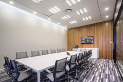 Boardroom Ceilings and Partitions