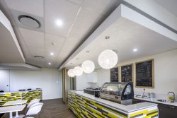 Suspended Ceilings with Bulkheads