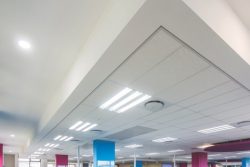 Commercial Ceilings