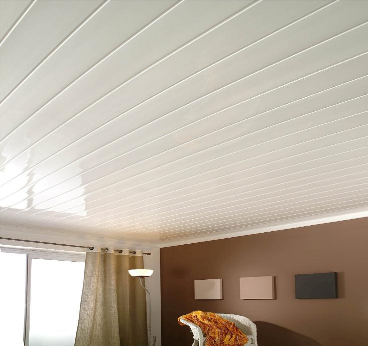 PVC Ceilings Pelican Systems PVC Ceilings Pelican Systems