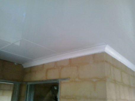 PVC Ceilings From Pelican Systems Pelican Systems PVC Ceilings From Pelican Systems Pelican Systems