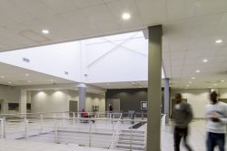 Suspended Ceilings