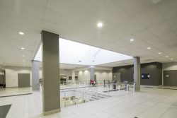 Suspended Ceilings