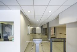 Suspended Ceilings