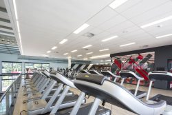 Acoustic Suspended Ceiling on main gym floor area