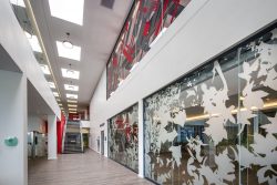 Ceilings at Virgin Active Hillcrest