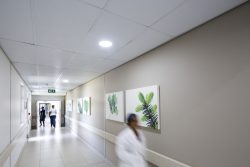 KwaDukuza Private Hospital Passageway