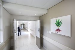 KwaDukuza Private Hospital Passageway