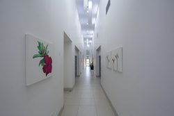 KwaDukuza Private Hospital Passageway