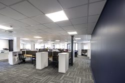 Acoustic Ceilings At Bidvest Panalpina Logistics For Open Plan Spaces Using AMF Star