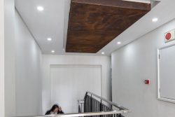 Wood Featured Ceiling Inlays At Bidvest Panalpina Logistics Frosterly Park