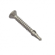 Fibre Cement Screw 8x32mm